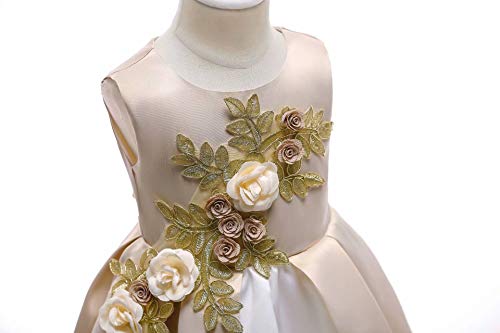 AYOMIS Girl Dress Princess Gowns Party Flower Christmas Wedding Dresses(Champagnge,5-6Y)