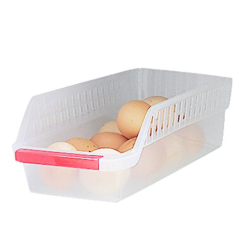 DELIFUR(TM) Freezer Refrigerator Storage Plastic Egg Holder