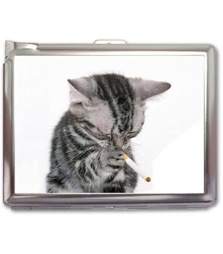 bad cat tobacco Amazon.com: Bad Cat Smoking Cigarette Case Lighter Wallet Card Holder :  Health & Household