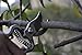 SHVIRO Garden Pruner Shears - Bypass Pruner Design - Curved Blades and Efficient Pruning of Shrubs, Branches, etc. - Sharp Stainless Steel Blades - Sturdy and Durable Design