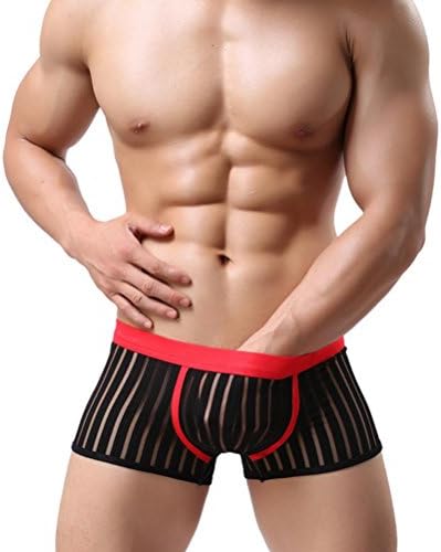 Wuzax Quick Dry Mens Mesh Underwear Breathable Comfortable Hipster Youth Boxer Briefs Stripe Transparent 4 Pieces
