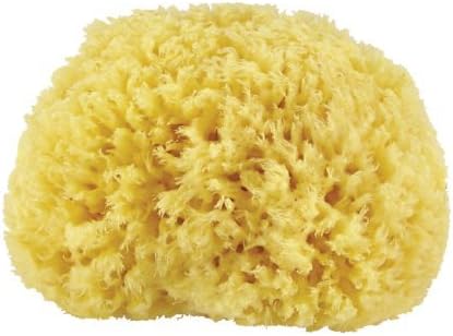 Premium Quality Natural Sea Sponge (Approx. Diameter 10cm)