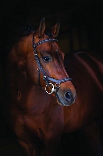 Rambo Micklem Deluxe Competition Bridle