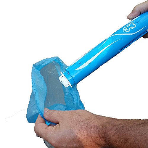 List 99+ Pictures How To Clean Dog Poop From Concrete Stunning