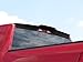 EGR 981579 Wing Spoiler