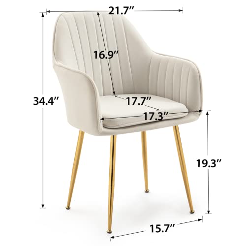 AVAWING Modern Living Dining Room Accent Arm Chairs Set of 2, Velvet