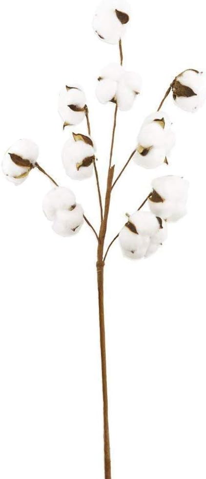 Lowprofile Natural Dried Cotton Stem Farmers Fill with Artificial Flowers for Floral Decoration Girls Room Living Room Decor