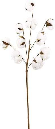 Xshuai Fleurs Artificielles En Coton Sechees Naturellement 53 3 Cm Materiau Melange De Coton Naturel Et De Rayonne Blanc Each Stem Is 21 Tall Amazon Fr Cuisine Maison