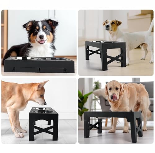 Beauenty Elevated Dog Bowl,5 Height Adjustable Elevated Slow Feeding Dog Bowl,With Anti Slip Feet,With 2 Stainless Steel Bowls And 1 Slow Feeding Dogs Bowl,For Small/Medium/Large Dogs Cats(Black)