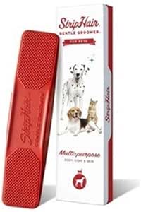 8 month old siberian husky