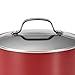Circulon Genesis Nonstick Saucepot/Stockpot/Dutch Oven with Lid, 4.5 Quart, Red