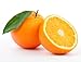 Tropical Orange Kissable Massage Oil 8 fl. oz. Pump with Pure Orange Essential Oil and All Natural Plant Oils