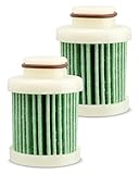 Quaneguzy Fuel Filter Fit for Suzuki Outboard DF100