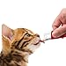 Catit Creamy Lickable Cat Treat, Healthy Cat Treat, Assortment, 15 Count