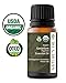 Best Geranium Essential Oil Pure Certified Organic Therapeutic Grade 10ml