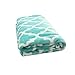 Usual Joy Soft Warm Blanket Picnic Beach Blanket Fleece Blanket Fuzzy Plush Lightweight Throw Couch Bed Blanket King Size (Light Blue, 108