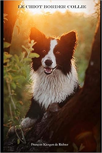 Le Chiot Border Collie Le Guide Du Chiot French Edition Kiesgen De Richter Francois Amazon Com Books