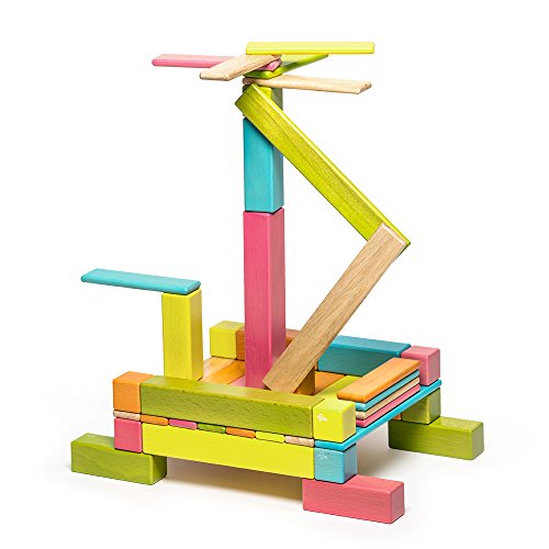 42 Piece Tegu Magnetic Wooden Block Expansion Pack Large, Tints