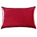 Yanibest Silk Pillowcase for Hair and Skin, Standard Queen King Pillow with Hidden Zipper, Soft Breathable Smooth Cooling Pillow for Sleeping