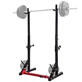 Ollieroo Multi-Function Barbell Rack Dip Stand