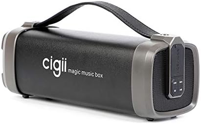 cigii wireless speaker price