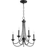 Quorum 6250-5-69 Transitional Five Light Chandelier from Brooks collection in Bronze/Dark finish,