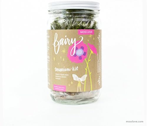 * Fairy * DIY Moss Terrarium Kit - popular unique fun gift or project! Reg $42