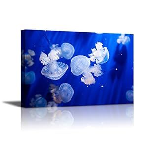 Canvas Wall Art - Jellyfish in an Aquarium with Blue Water | Modern Home Art Canvas Prints Giclee Printing Wrapped & Ready to Hang - 12" x 18"