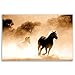 HORSES postcard set of 20 postcards. Horse post card variety pack. Made in USA.