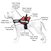 Industrial Puppy Therapy Dog Vest with Hook, Loop Straps and Handle, Harnesses in Sizes from XXS to XXL, Vest Harness Features Reflective Patch and Comfortable Mesh Design, Dog Accessories, XL, Red