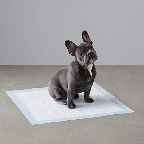Amazon Basics Dog and Puppy Pee Pads with LeakProof QuickDry Design