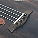 Caramel CB904 Ebony Baritone Acoustic and Electric Ukulele with Truss Rod