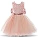 NNJXD Girl Tulle Embroidered Elegant Tutu Backless Dress for Party Size(100) 2-3 Years Pink