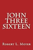 John Three Sixteen by Robert L. Moyer