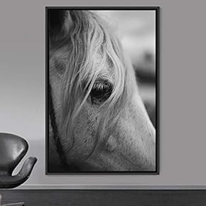 signwin Framed Canvas Wall Art High Contrast Horse...
