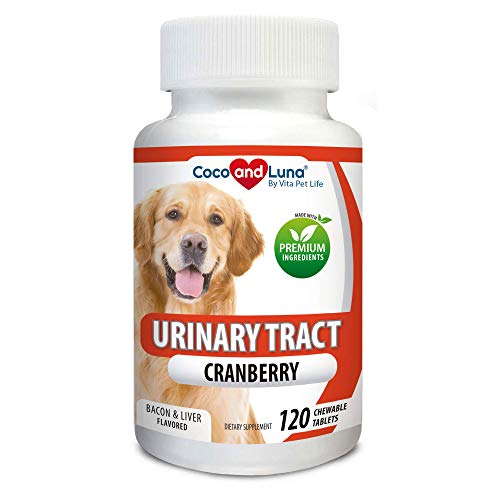 best urinary dog food
