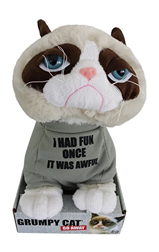 grumpy cat teddy