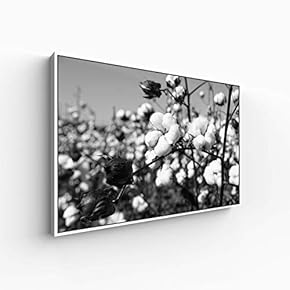 for Living Room Bedroom Monochrome Plants Framed for
