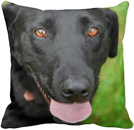 Black Lab Pillow Case