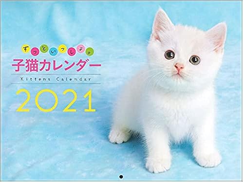 Amazon Co Jp ずっといっしょ 子猫カレンダー21 カレンダー 主婦の友社 文房具 オフィス用品