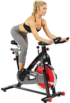 sunny health & fitness exercise bikes