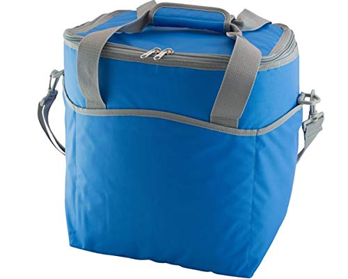 Papillon 5080122 Fridge Cooler Bag, 20 Liters, Multi, 47 x 8 x 34 cm