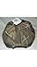 Ford Camo Mesh Cap Hat Realtree Camouflage Infinity 107671