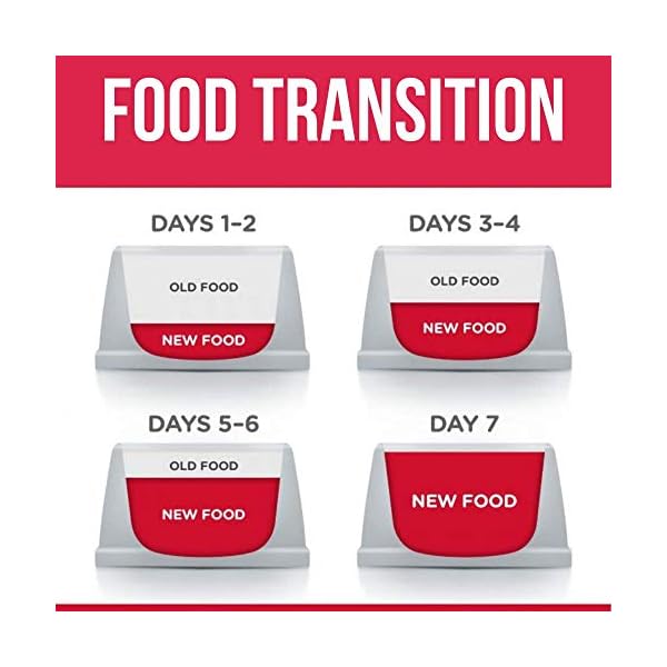 hills science plan oral care cat food