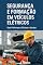 Livro SEGURANÇA E FORMAÇÃO EM VEÍCULOS ELÉTRICOS: NR-10, NR-6 e NR-35 Aplicadas: Plano Completo de Qualificação de Instrutores, Atualização Curricular e Adequação de Laboratórios