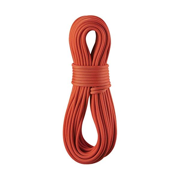 EDELRID Eagle Lite Pro Dry 9,5 mm Kletterseil, neon Coral, 70m