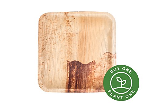 6" Square Palm Leaf Plates - Pack of 25 - Disposable, Compostable, Natural, Tree Free, Sustainable, Eco-Friendly - Fancy Rustic Party Dinnerware and Utensils Like Wood, Bamboo