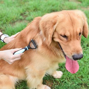 PetHero Dematting Tool for Dogs and Cats – The Best Dog Grooming Comb for Undercoat Removal – Professional Rake Brush for Breeds with Easy Mats and Tangles, 10 Teeth Wide - 2 Pack