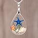 Chicer Pendant Real Starfish Seashell Underwater Plant Life Necklace, Cute Drop Water Necklace for Women and Girls. (Blue)