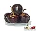 Dried Cascabel Chili Pepper (Chile Cascabel) Weights: 4 Oz and 8 Oz (4 Oz)